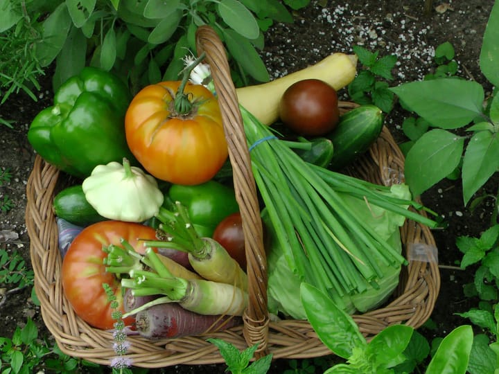 Les 10 légumes les plus faciles à cultiver pour débuter au potager