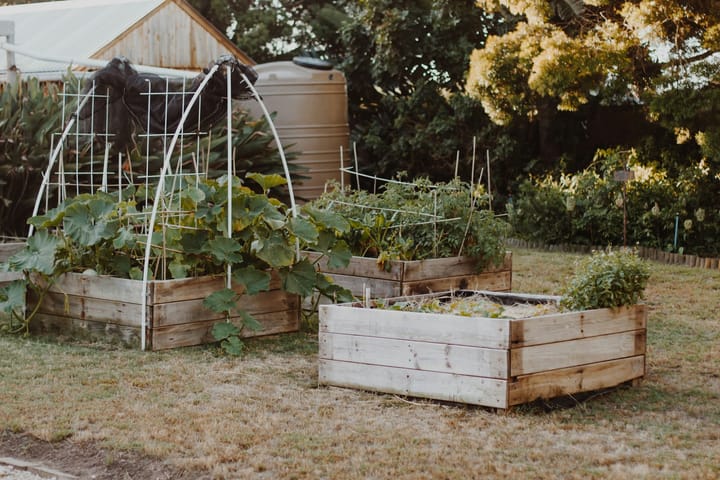 Potager en carrés : par où commencer quand on débute